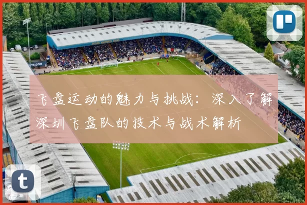 飞盘运动的魅力与挑战：深入了解深圳飞盘队的技术与战术解析