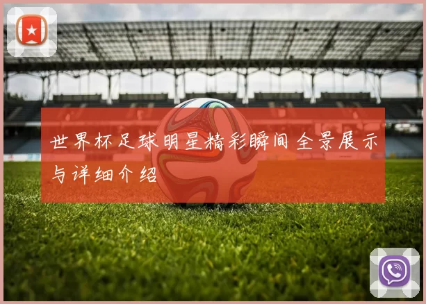 世界杯足球明星精彩瞬间全景展示与详细介绍