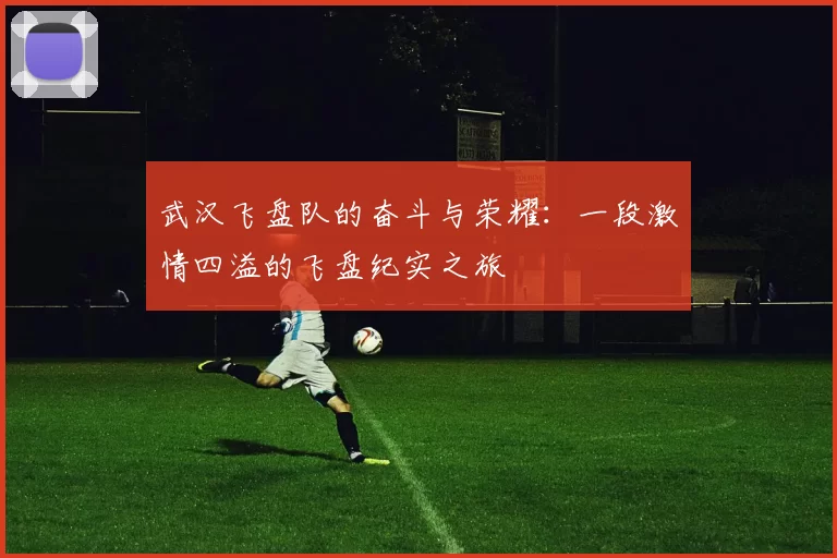 武汉飞盘队的奋斗与荣耀：一段激情四溢的飞盘纪实之旅