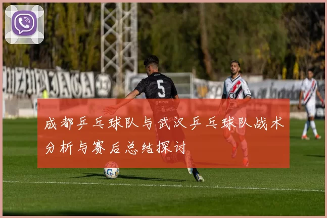 成都乒乓球队与武汉乒乓球队战术分析与赛后总结探讨