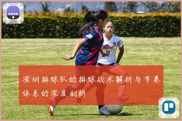 深圳排球队的排球战术解析与节奏体系的深度剖析