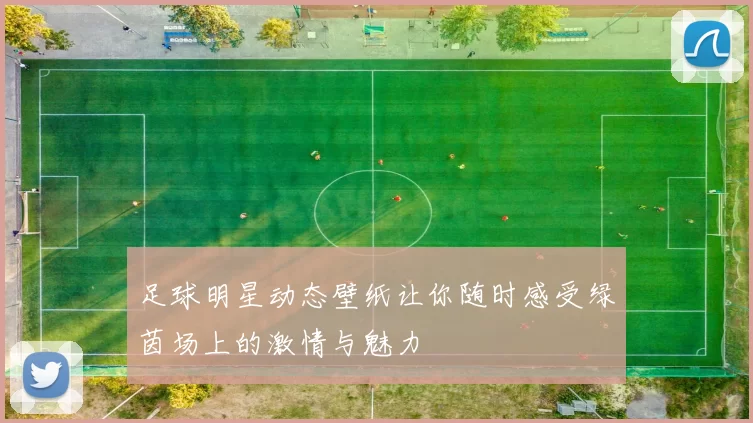 足球明星动态壁纸让你随时感受绿茵场上的激情与魅力