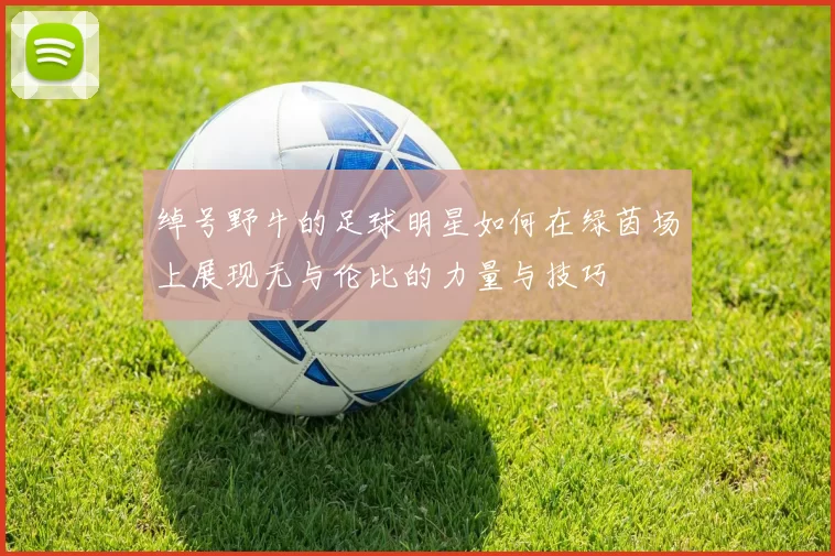 绰号野牛的足球明星如何在绿茵场上展现无与伦比的力量与技巧