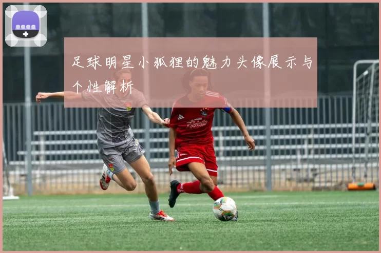 足球明星小狐狸的魅力头像展示与个性解析
