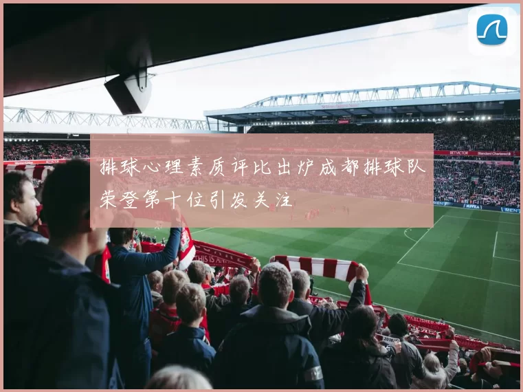 排球心理素质评比出炉成都排球队荣登第十位引发关注