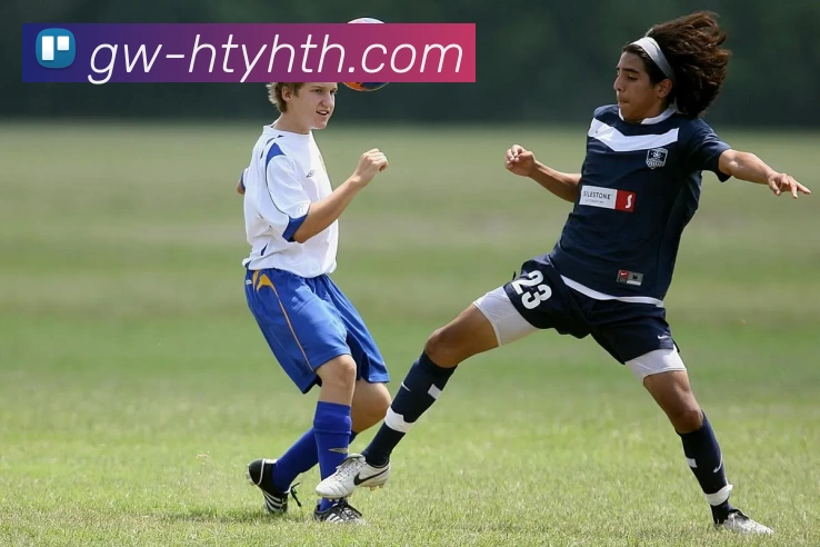 多媒体互动体验